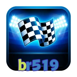 br519