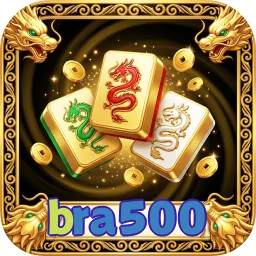 bra500
